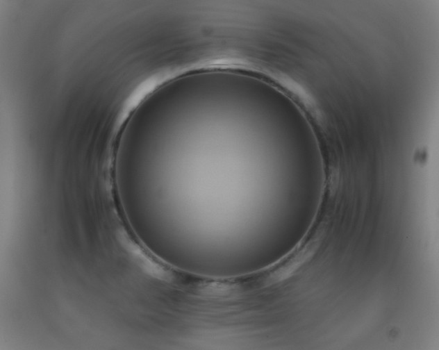 X0000093241374200709261700