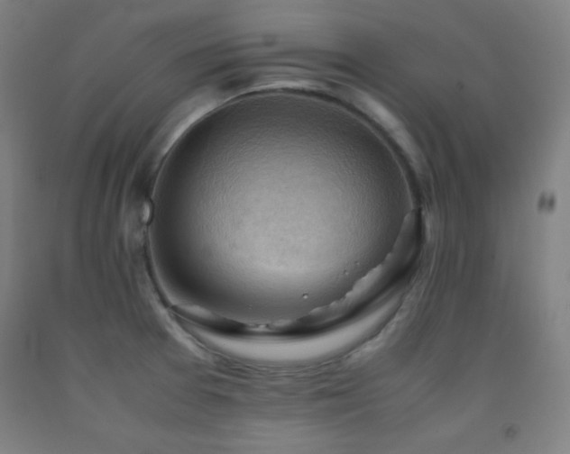 X0000093241377200709261659