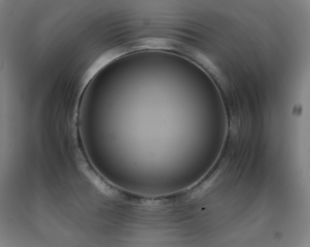 X0000093241378200709261659