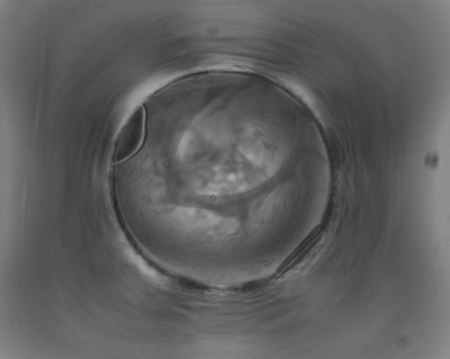 X0000093241379200709261659