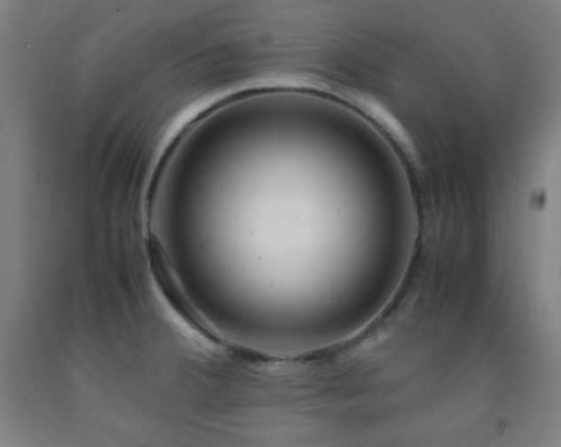 X0000093241380200709261659