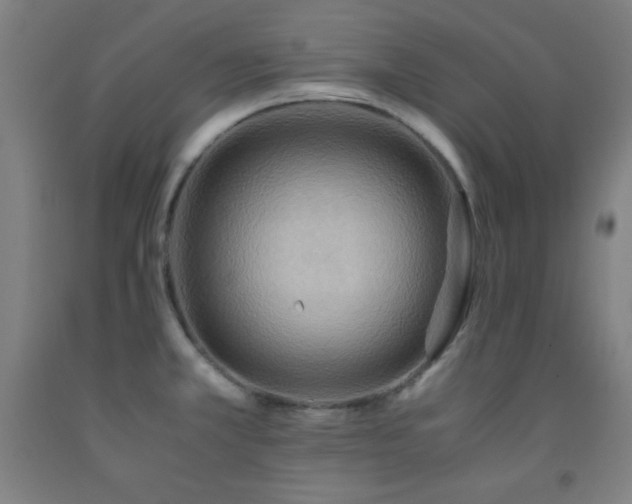 X0000093241381200709261659