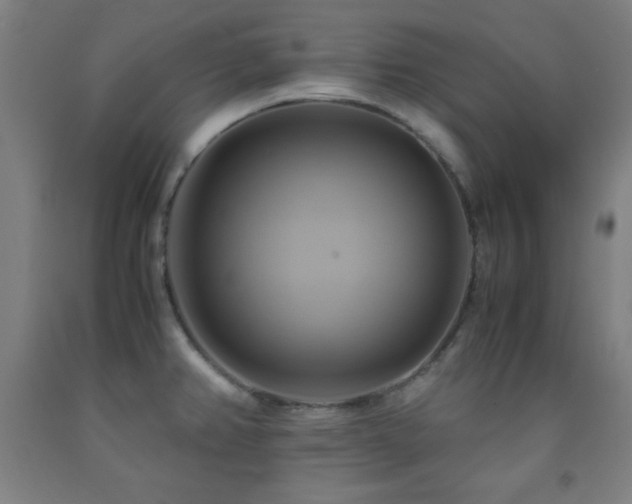 X0000093241382200709261659