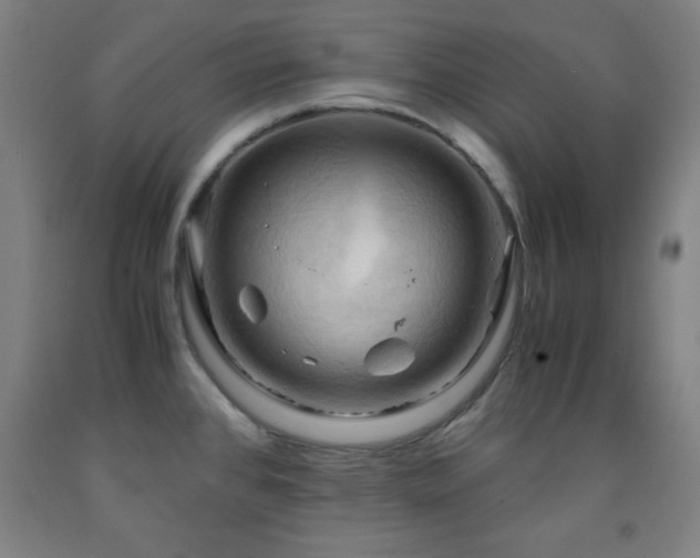 X0000093241384200709261659