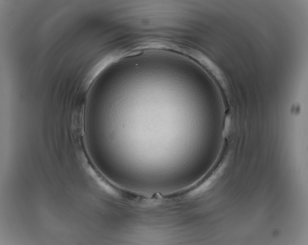 X0000093241385200709261659