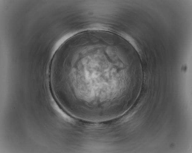 X0000093241387200709261659
