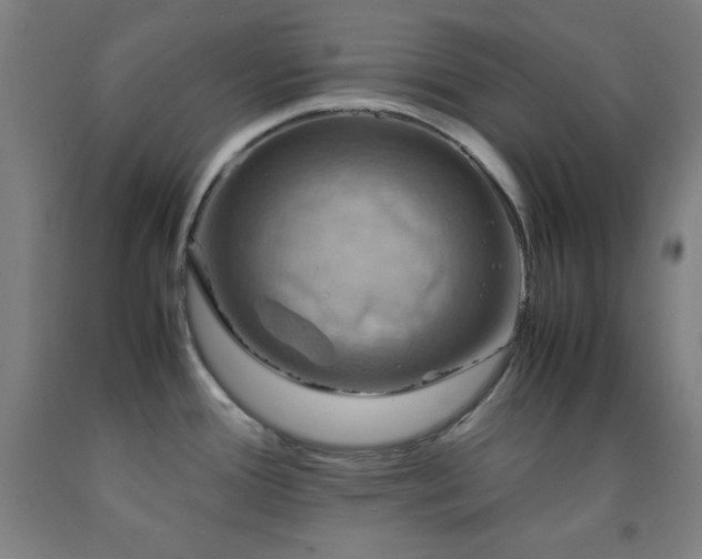 X0000093241388200709261659
