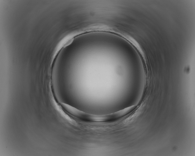 X0000093241389200709261659