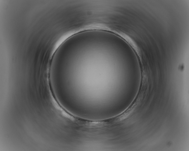 X0000093241390200709261659