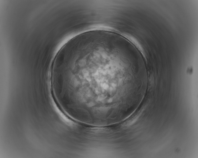 X0000093241391200709261659