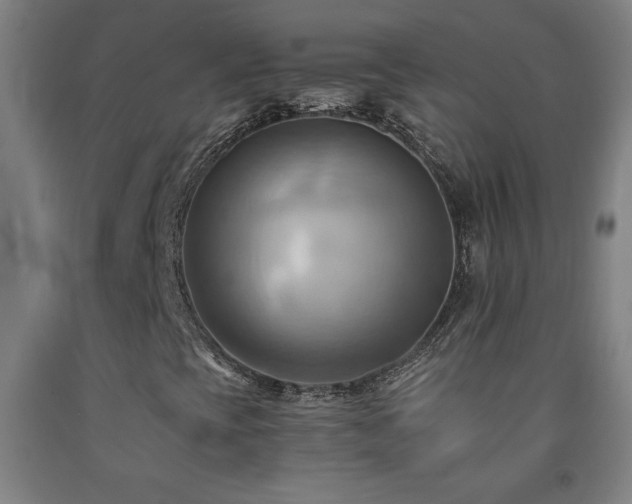 X0000093241393200709261659