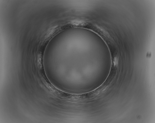 X0000093241396200709261659