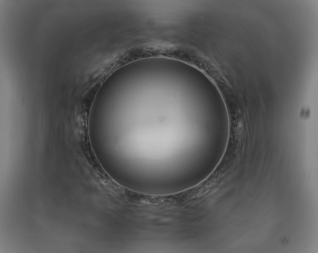 X0000093241397200709261659