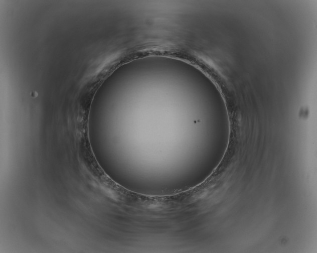 X0000093241399200709261659