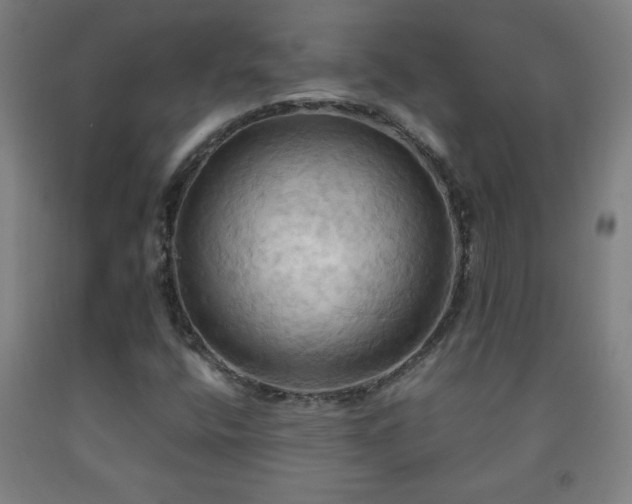 X0000093241400200709261659