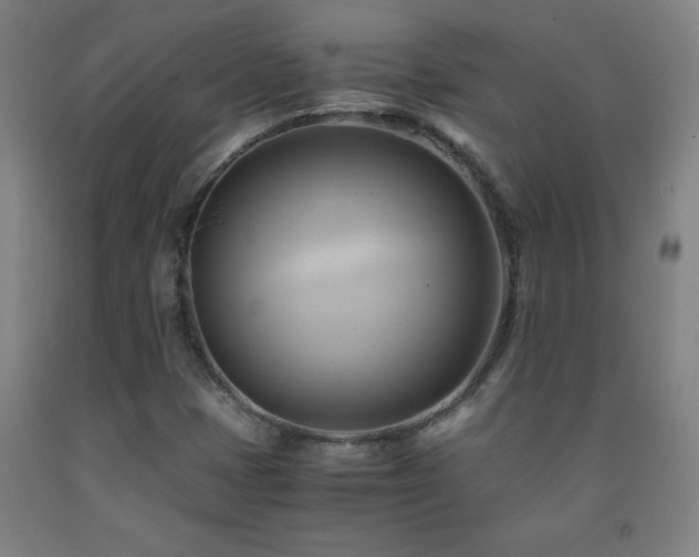 X0000093241401200709261659
