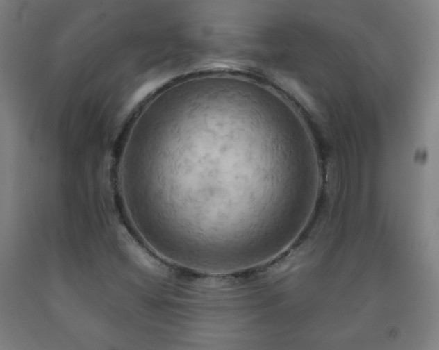X0000093241404200709261659