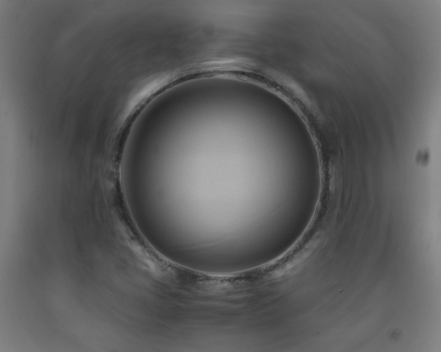 X0000093241405200709261659