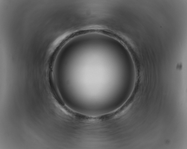 X0000093241406200709261659