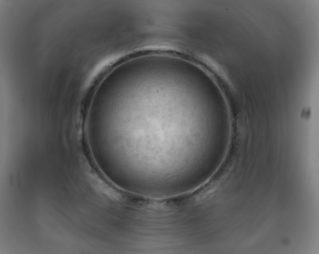 X0000093241408200709261659