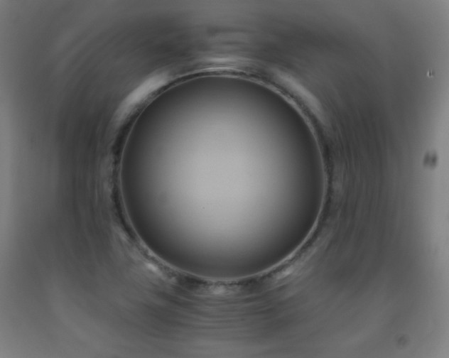 X0000093241411200709261659