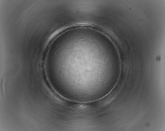 X0000093241412200709261659