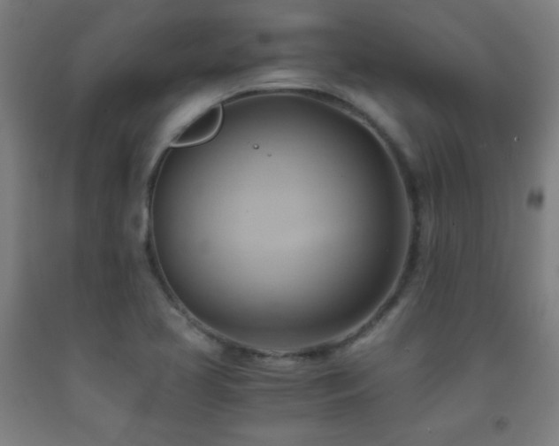 X0000093241413200709261659