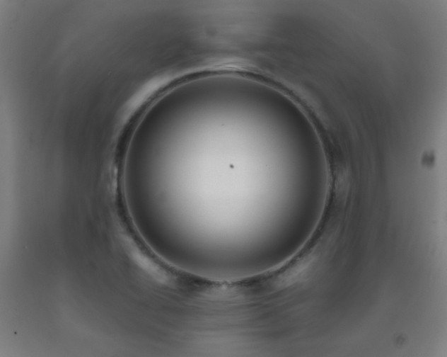 X0000093241414200709261659