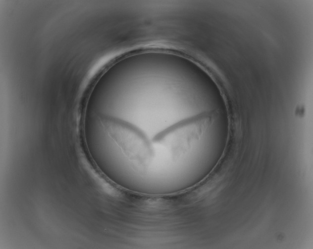 X0000093241416200709261659