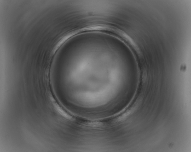 X0000093241417200709261659