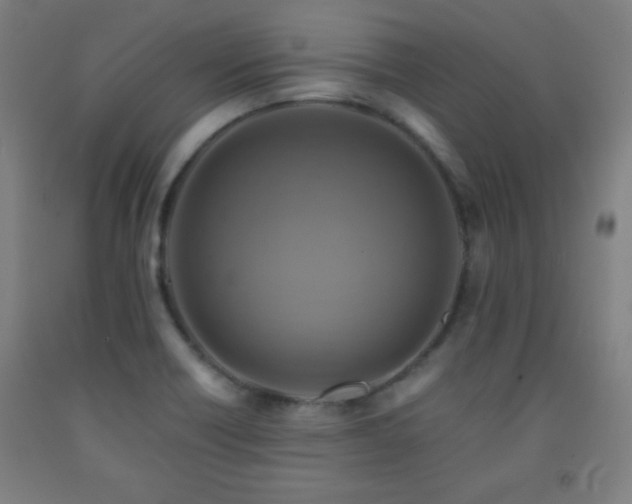 X0000093241418200709261659