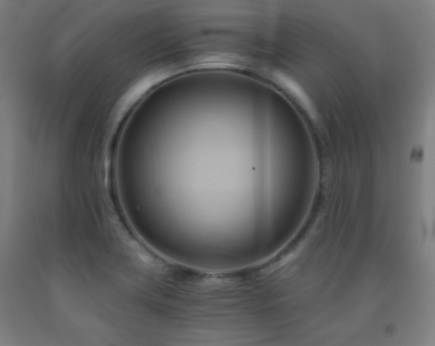 X0000093241419200709261659