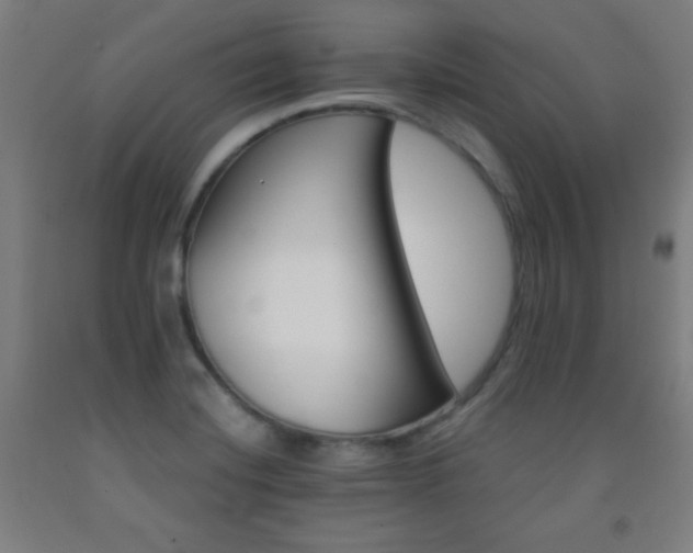 X0000093241420200709261659
