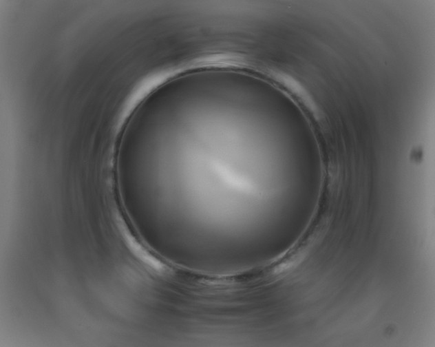 X0000093241421200709261659