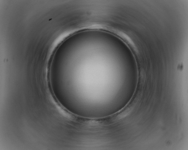 X0000093241424200709261659