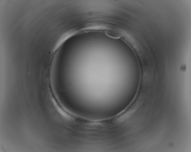 X0000093241425200709261659