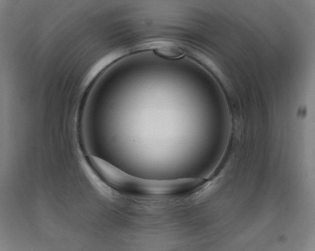 X0000093241426200709261659