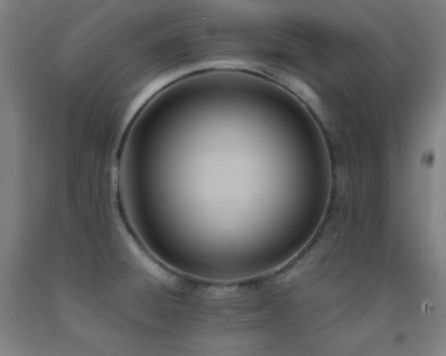 X0000093241428200709261659