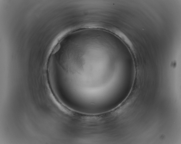X0000093241429200709261659
