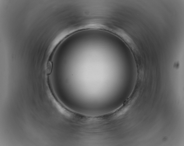 X0000093241430200709261659