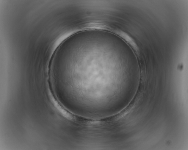 X0000093241431200709261659