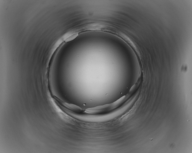 X0000093241434200709261659