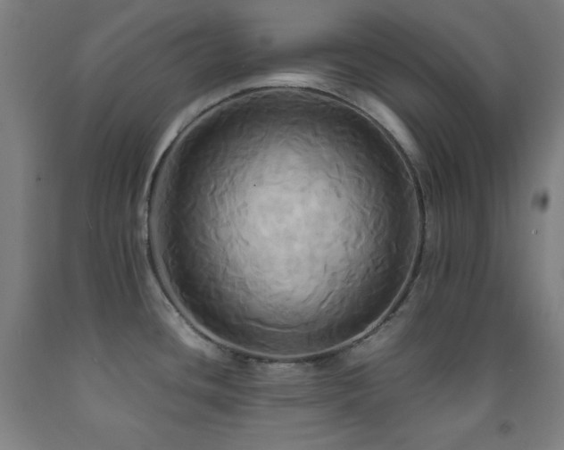 X0000093241436200709261659