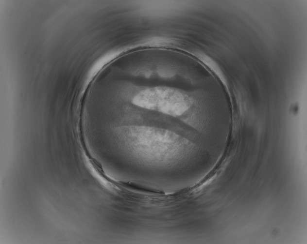 X0000093241437200709261659