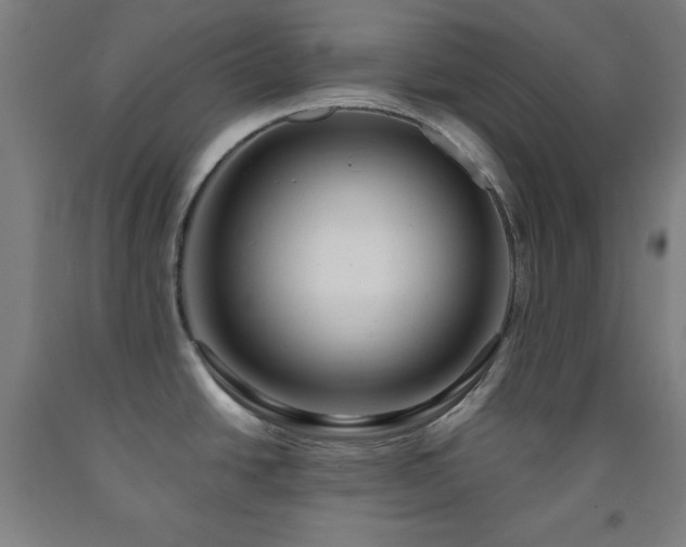 X0000093241438200709261659