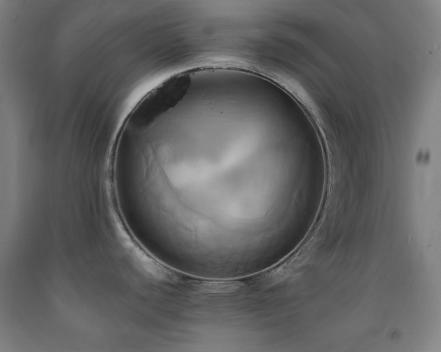 X0000093241440200709261659