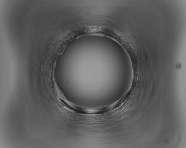 X0000093241441200709261659