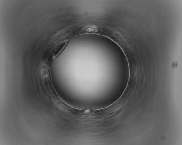X0000093241442200709261659