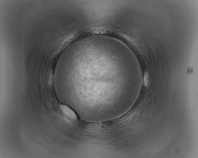 X0000093241444200709261658