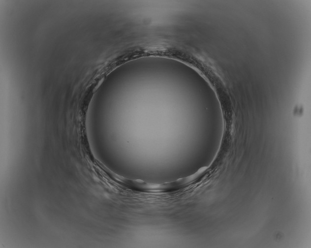 X0000093241445200709261658